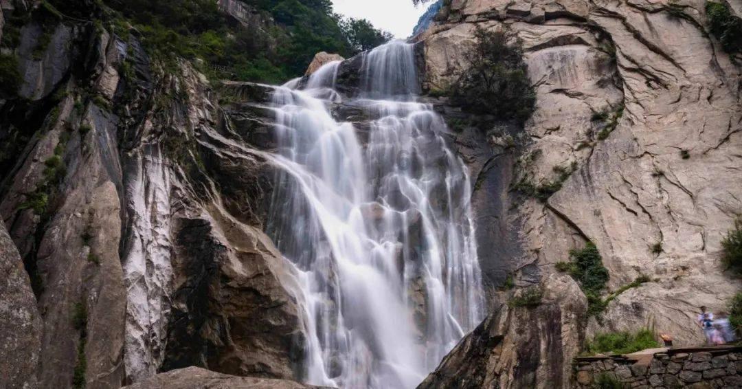 后悔吗?泰山队1500万重金砸来的锋线新援,如今一场没踢就离队了
